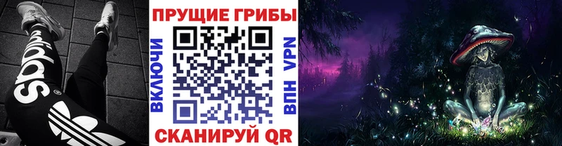 Галлюциногенные грибы MAGIC MUSHROOMS  Купить  Крымск 